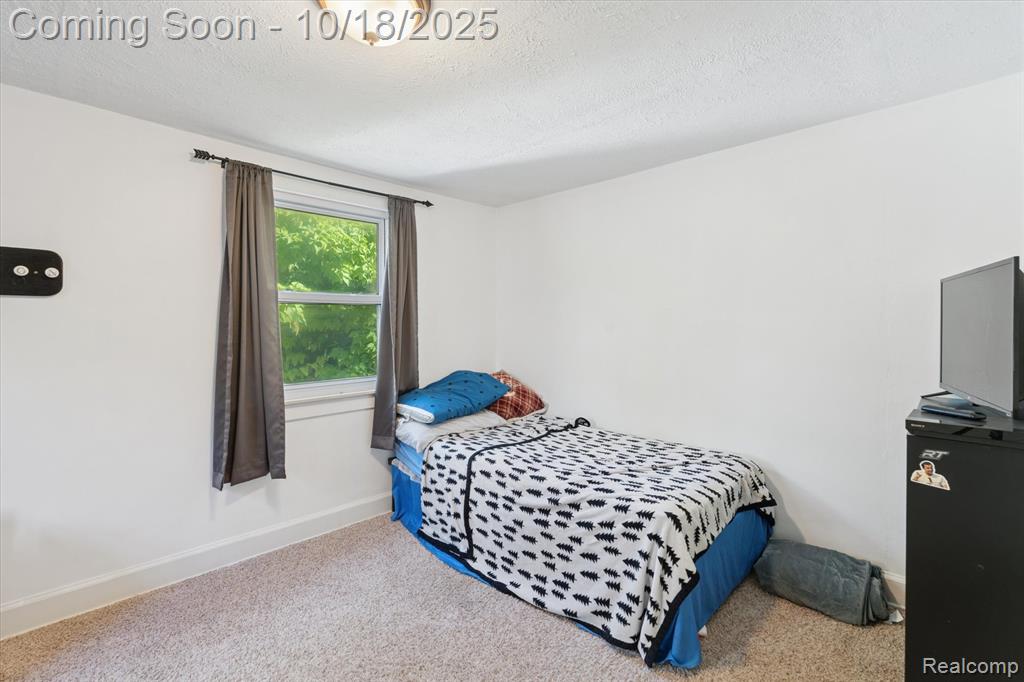 802 Tickner Street, Linden, MI 48451 — Photo 27