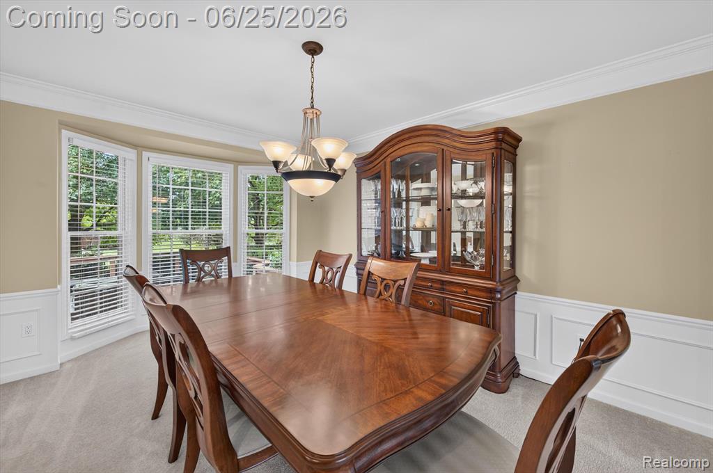 558 Sylvan Drive, Canton, MI 48188 — Photo 19