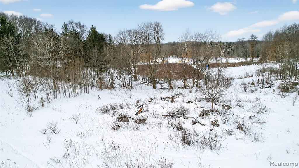 1130 S Gray Road, West Branch, MI 48661 — Photo 44