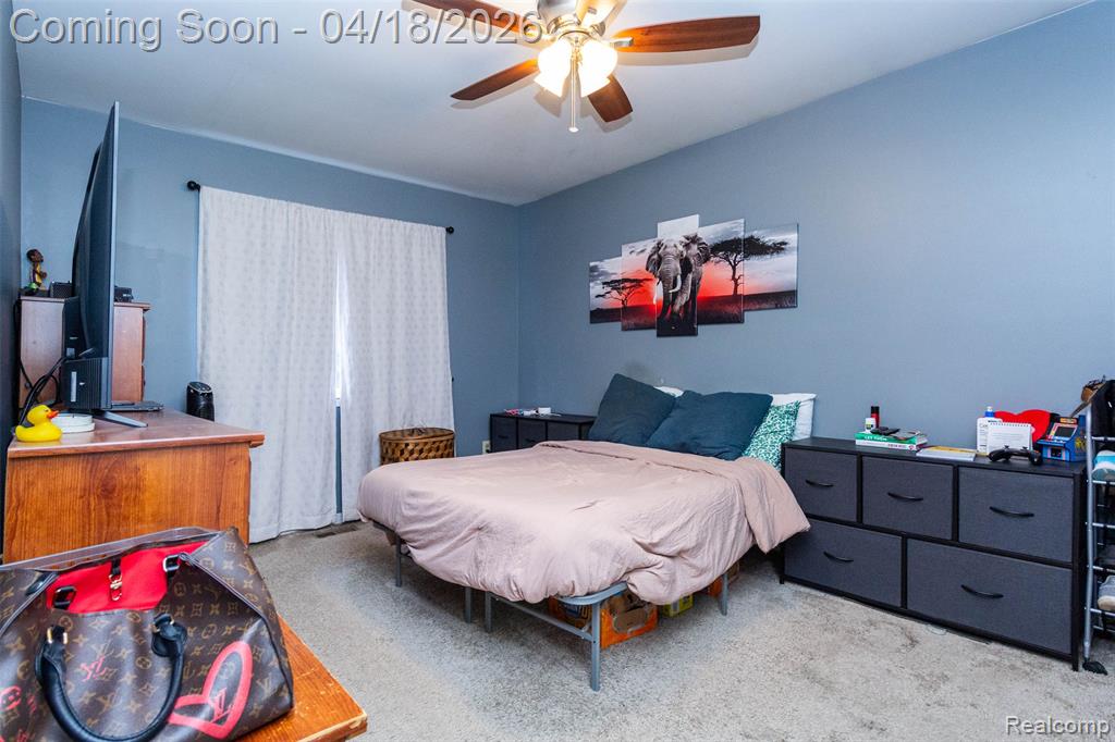 11583 Broadview Street, Hartland, MI 48353 — Photo 14