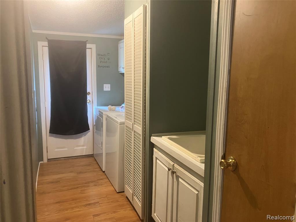 402 Katie Lane Lane, Morrice, MI 48857 — Photo 6