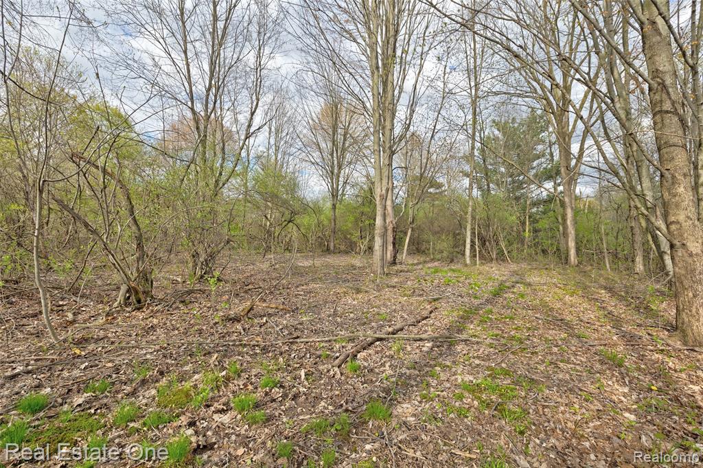 590 Judi Ann Lane, Holly, MI 48442 — Photo 26