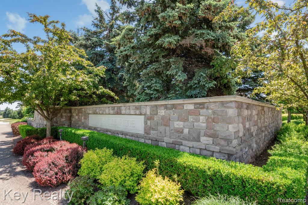 50424 LIVINGSTON Drive, Northville, MI 48168 — Photo 55