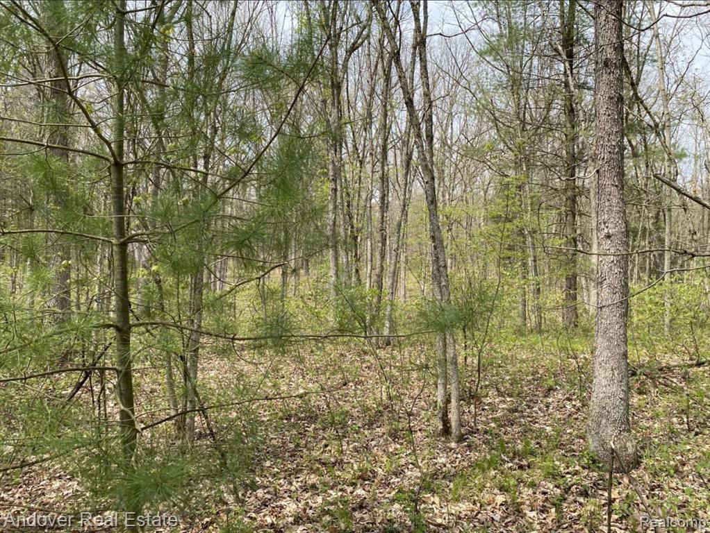 Swan Creek Court, MI 49010 — Photo 3