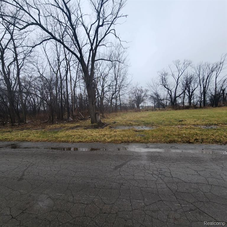 2242 SAINT JOSEPH Street, Detroit, MI 48207 — Photo 4