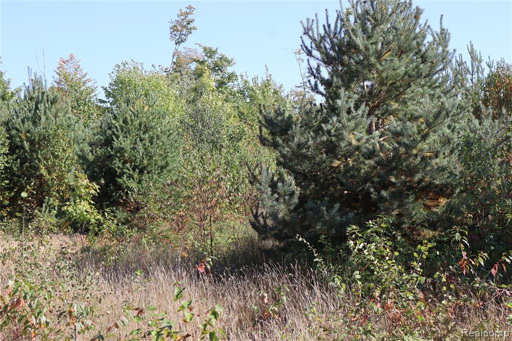 Lot D W Pendills Lake Road, Brimley, MI 49715 — Photo 32