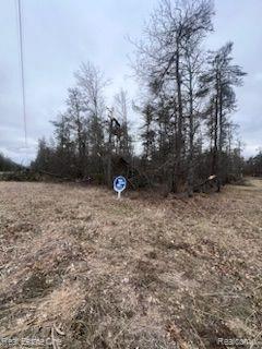 VL Big Creek Road, Johannesburg, MI 49751 — Photo 6