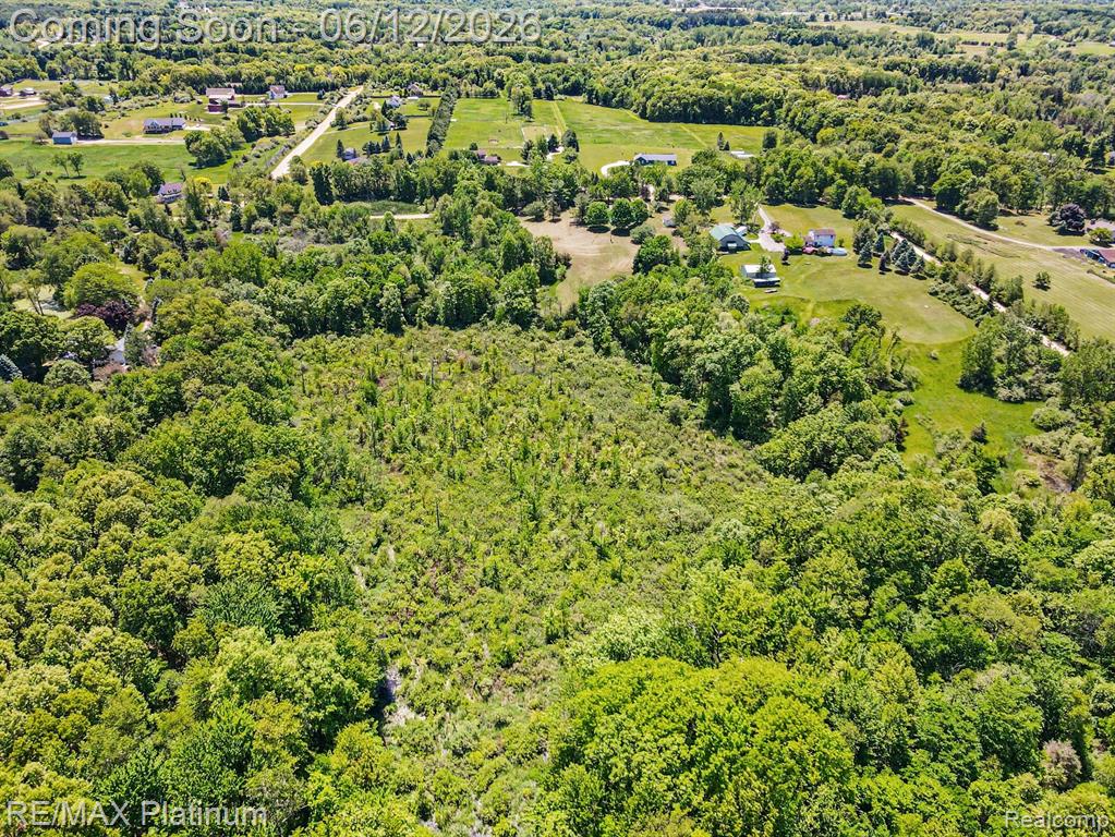 2647 Curdy Road, Howell, MI 48855 — Photo 32