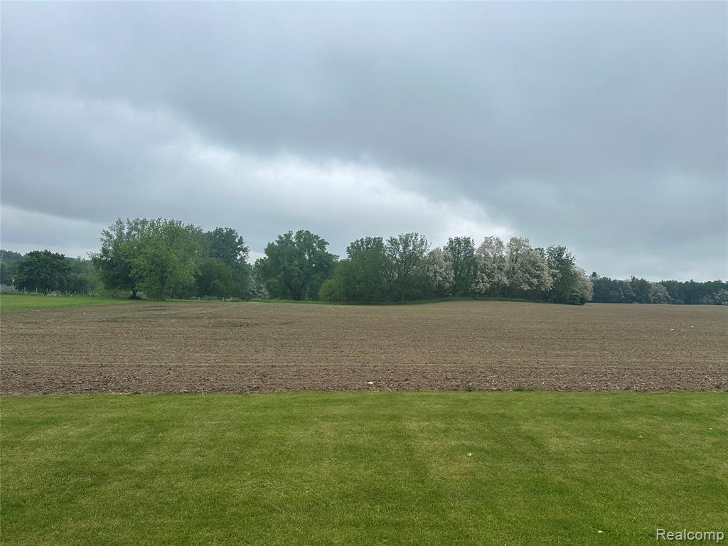 VL Mertz Road, Mayville Vlg, MI 48744 — Photo 17