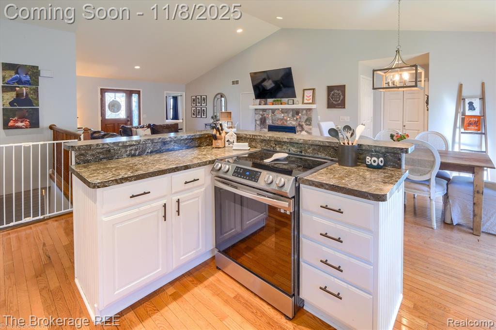 4203 Crystal Cove Court, Linden, MI 48451 — Photo 21