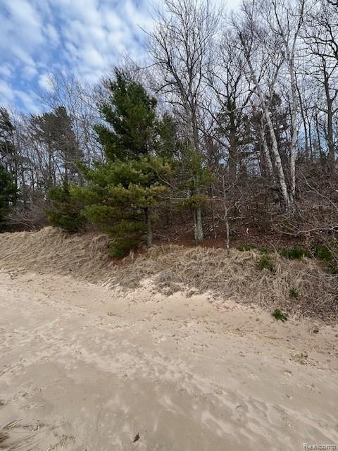 5271 Lake Breeze Drive, Pentwater, MI 49449 — Photo 7