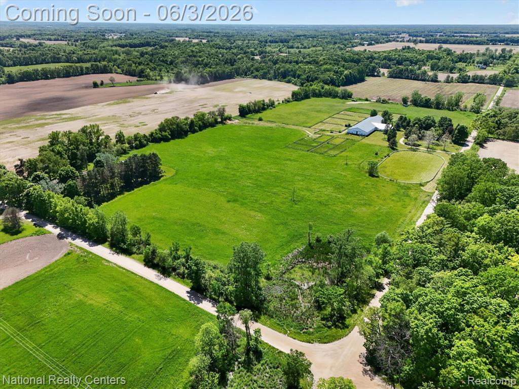 864 E Lovejoy Road, Byron, MI 48418 — Photo 58