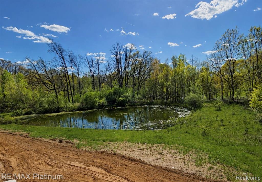2233 Knotty Pine Trail, Howell, MI 48855 — Photo 3