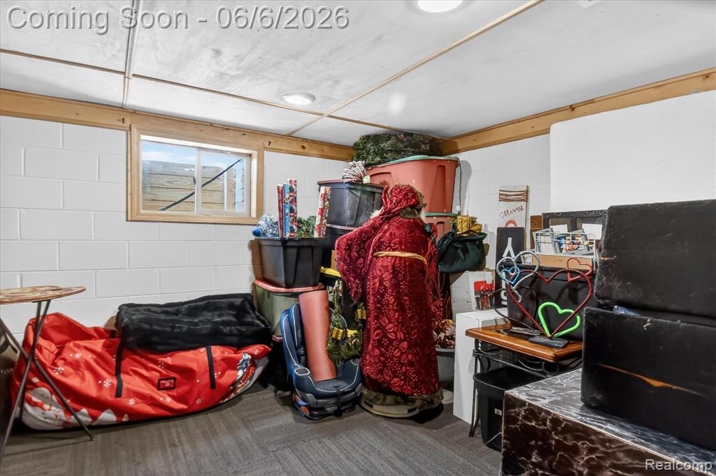 3949 Burnsline Road, Brown, MI 48416 — Photo 52