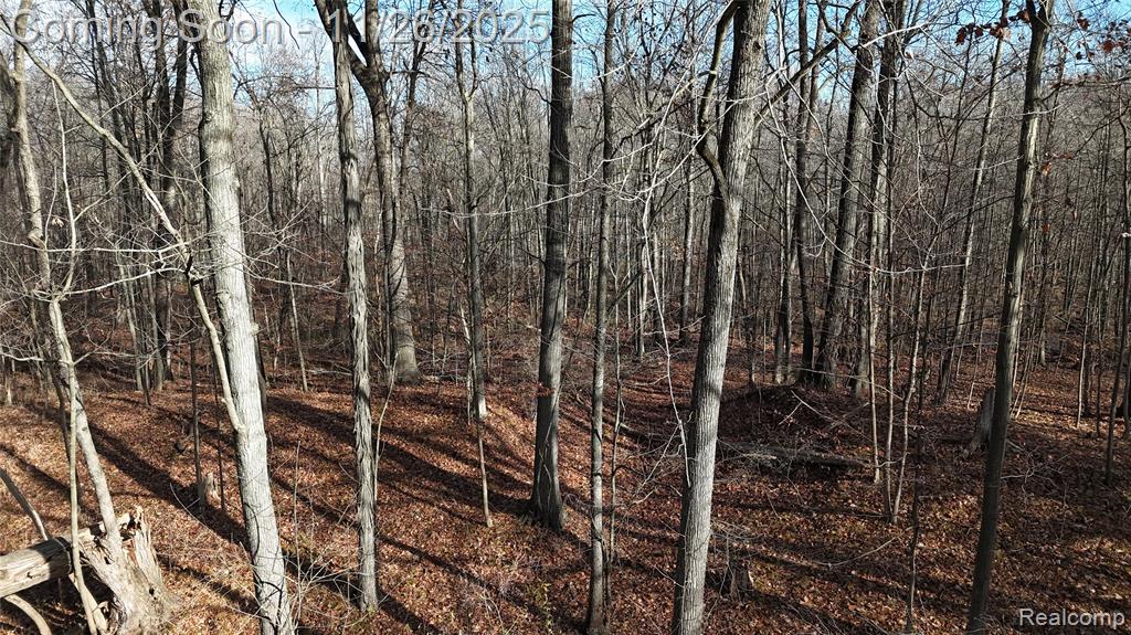 9300 Bath Road, Laingsburg, MI 48848 — Photo 15
