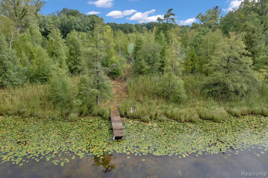 5010 BELLE RIVER Road, Attica, MI 48412 — Photo 35