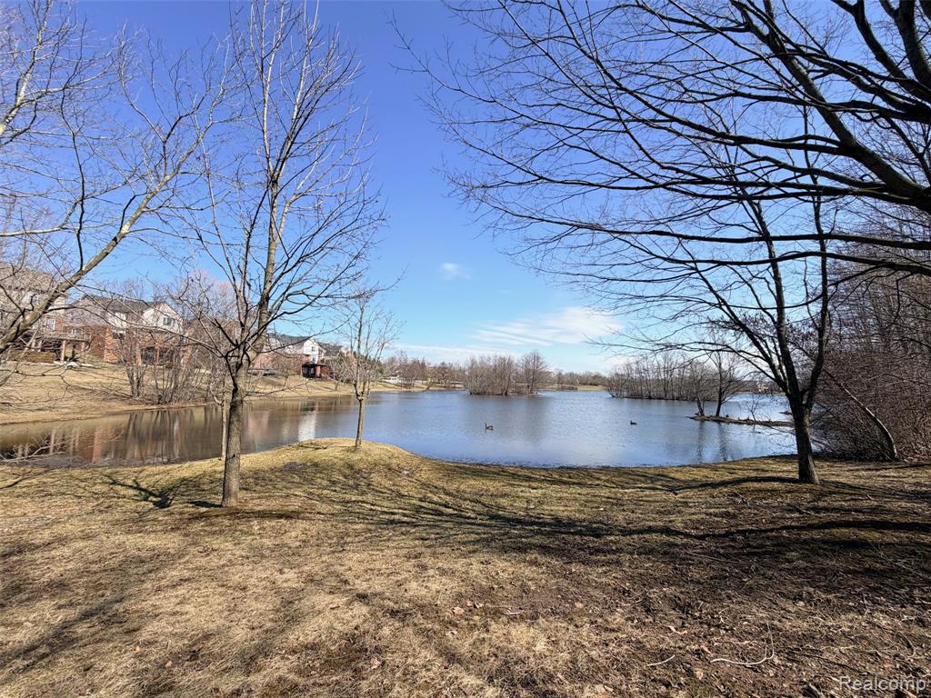 49681 S Glacier, Northville, MI 48168 — Photo 70
