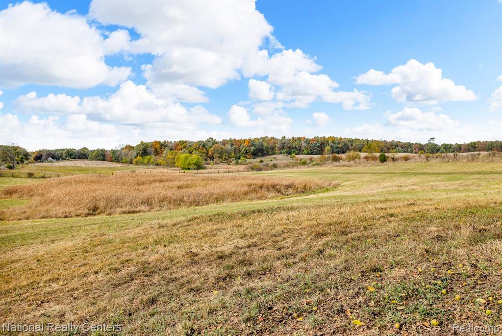 1050 W Vicary Rd. Road, Liberty, MI 49233 — Photo 28