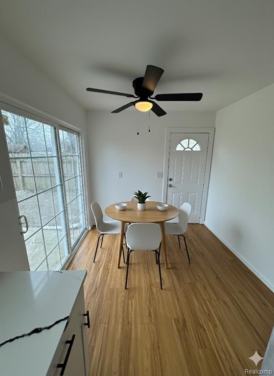 1441 Harry Street, Ypsilanti, MI 48198 — Photo 8