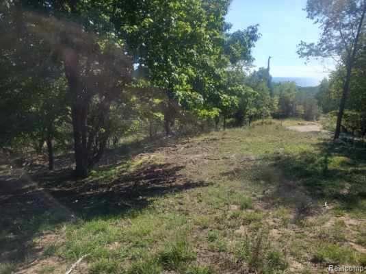 Parcel A Lake Bluff Drive, Arcadia, MI 49613 — Photo 8