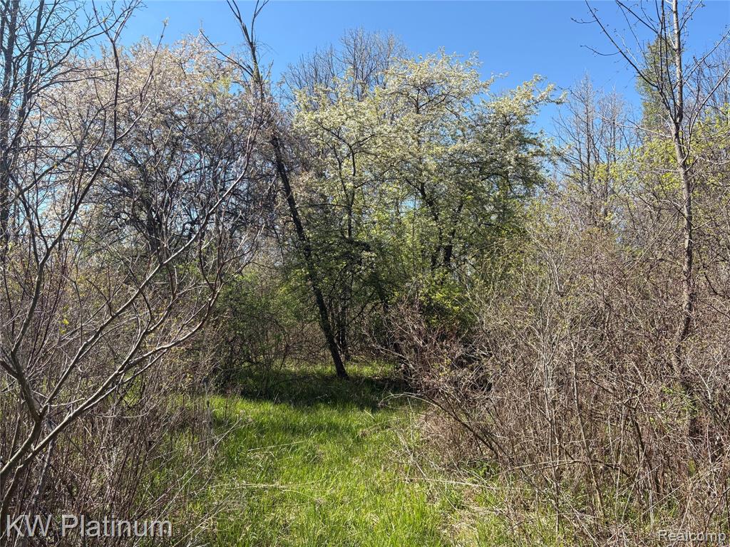 Parcel C Wicha Drive, Burtchville, MI 48059 — Photo 15