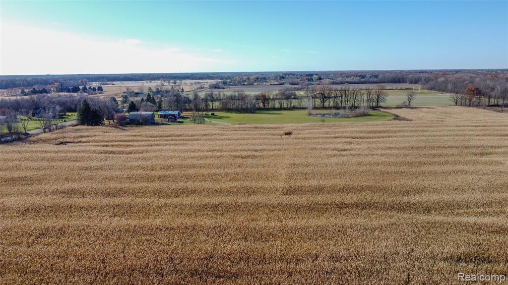 9459 Morrish Road, Swartz Creek, MI 48473 — Photo 25
