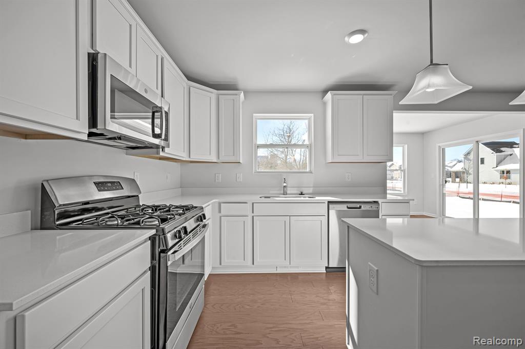 500 ELM Street, Chelsea, MI 48118 — Photo 5