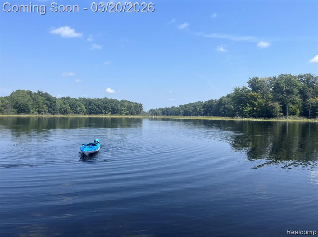 7207 Gurd Road, Hastings, MI 49058 — Photo 30