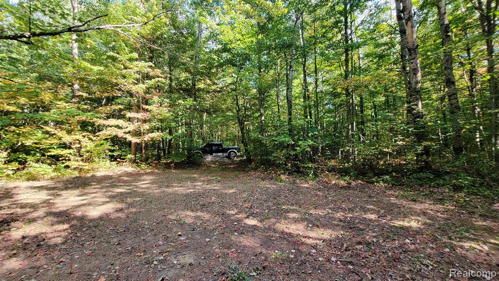 7528 OLD STUMP Road, Gaylord, MI 49735 — Photo 4