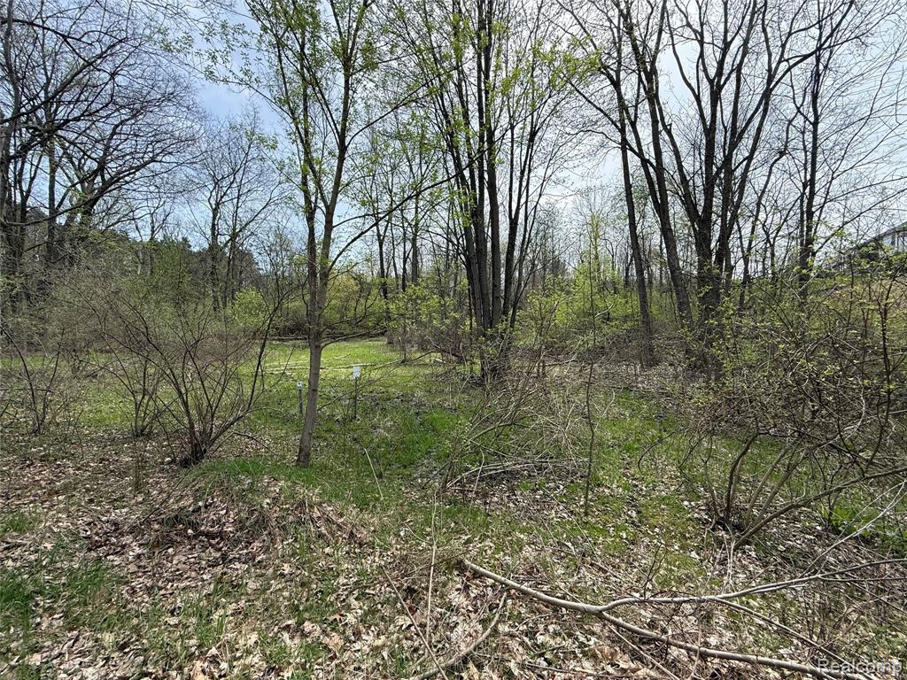 Lot 66 Preserve Drive, Fenton, MI 48430 — Photo 3