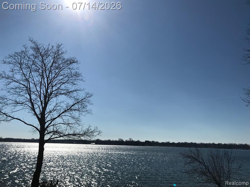 11826 N MAIN Street, Whitmore Lake, MI 48189 — Photo 20
