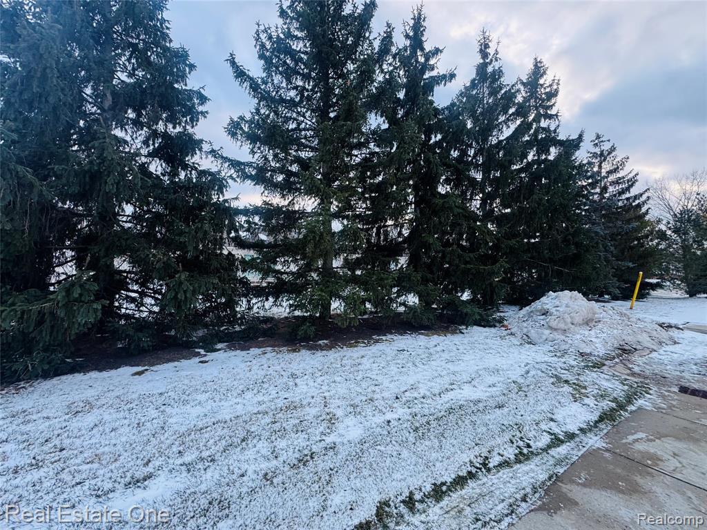 52210 S Gabriella Lane, 39, Macomb, MI 48042 — Photo 3