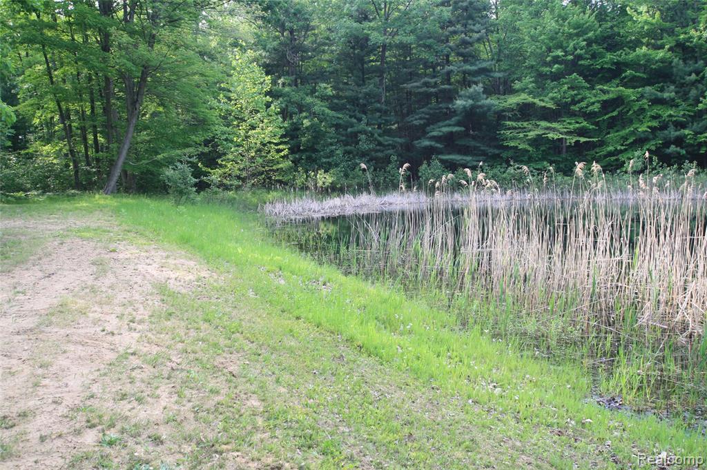 12850 East Road, Burt, MI 48417 — Photo 13