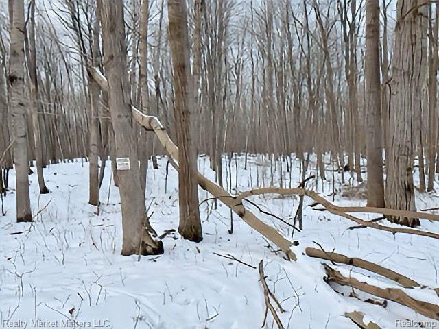 5770 Denhoff Road, Kingston, MI 48741 — Photo 26