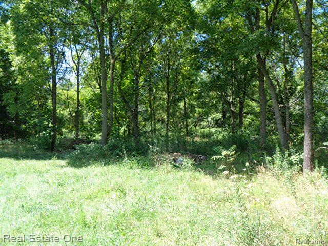 18985 TRINITY Street, Detroit, MI 48219 — Photo 5