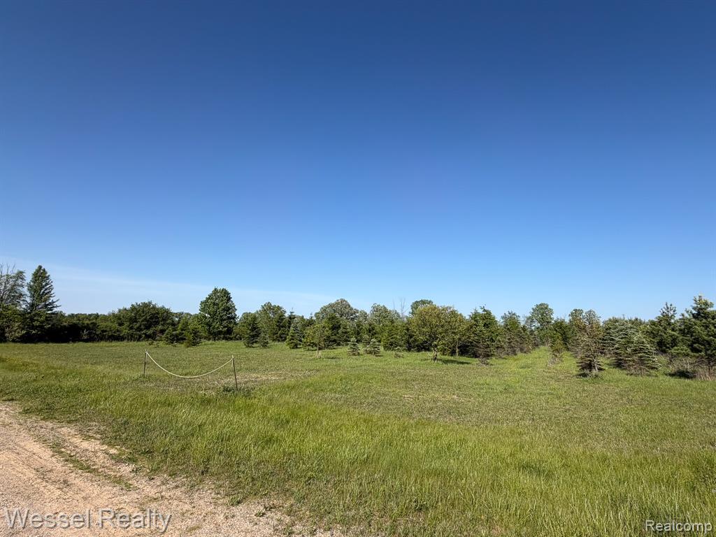 0 Windmill Lane, Imlay City, MI 48444 — Photo 5