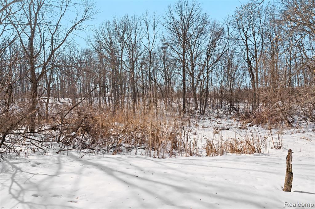 49681 S Glacier, Northville, MI 48168 — Photo 61