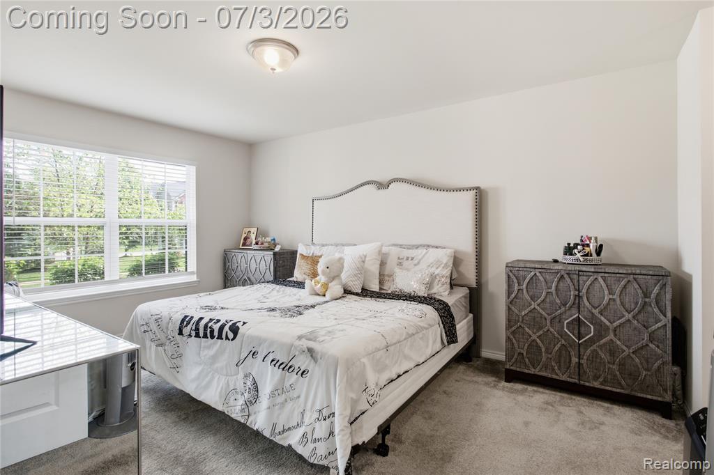 45766 Aragon Lane, Canton, MI 48187 — Photo 34