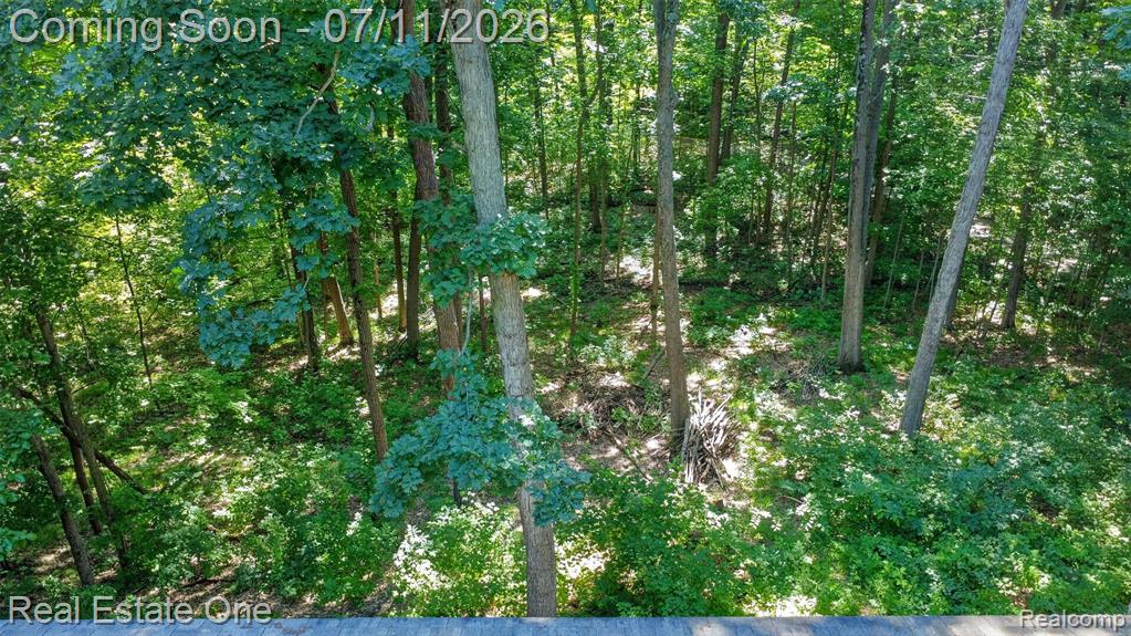 310 S Van Road, Holly, MI 48442 — Photo 53