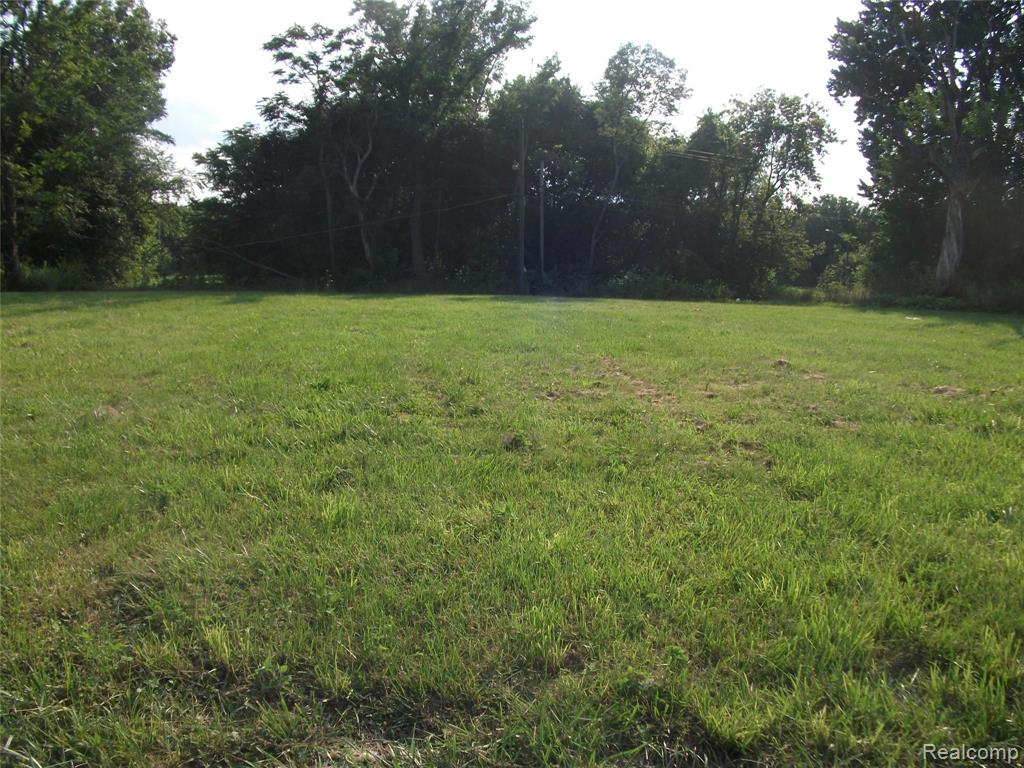 1131 NEWPORT - Photo 4
