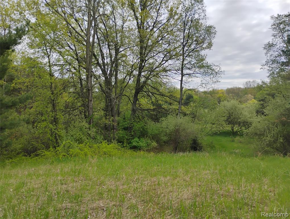 000 Middle Parcel C Middle Road, Highland, MI