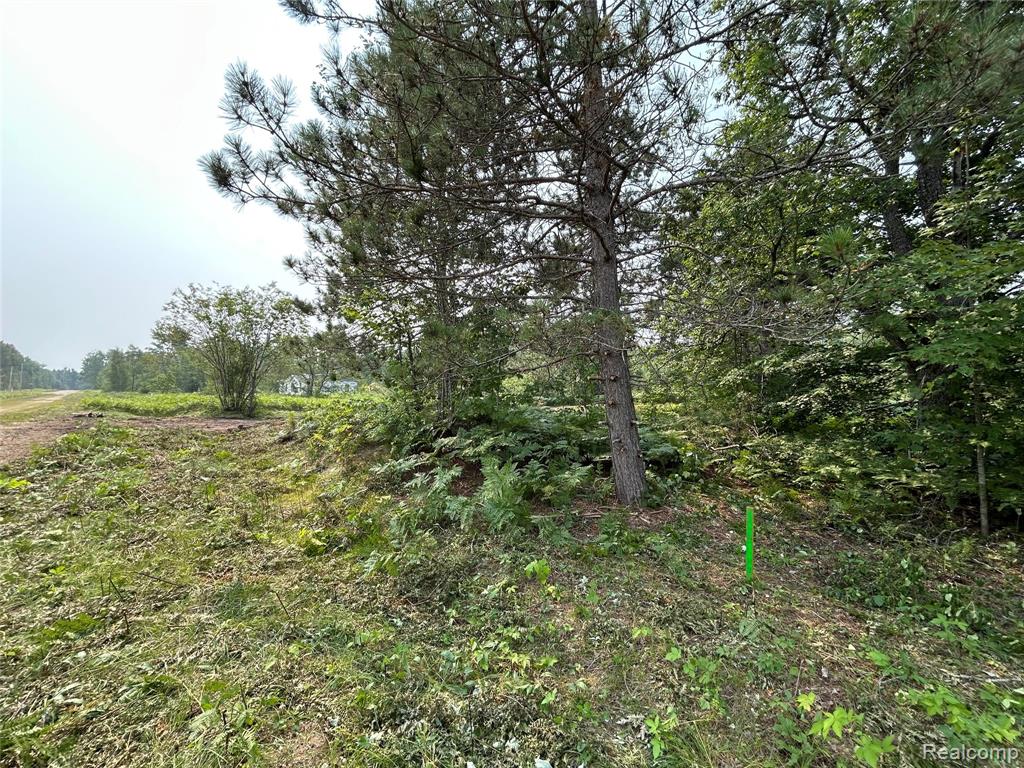 6658 Brookfield Court, Elmira, MI 49730 — Photo 2