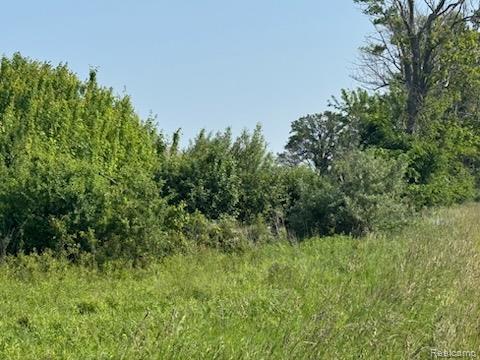 0001 Duquette Road, Peck, MI 48466 — Photo 9
