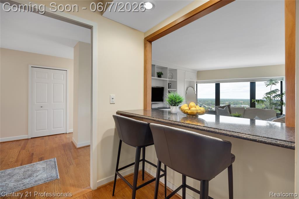 5000 Town Center, 2305, Southfield, MI 48075 — Photo 10