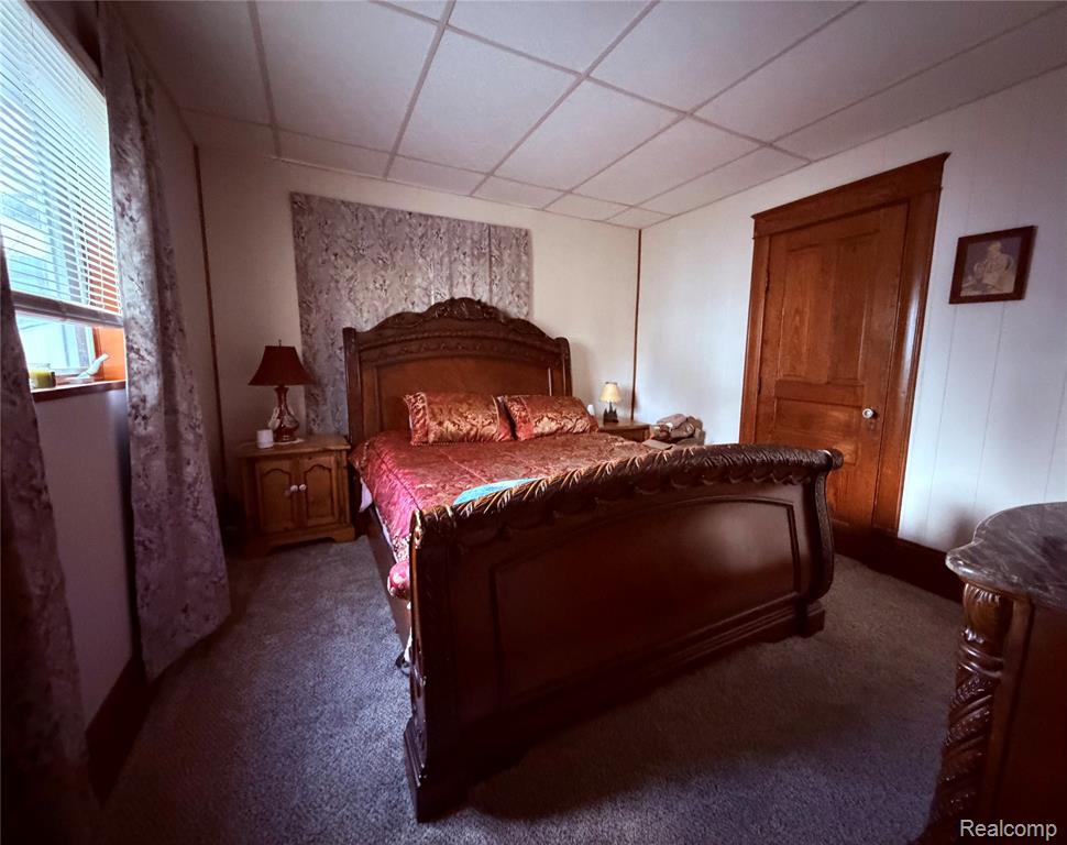 4219 Seeger Street, Cass City, MI 48726 — Photo 14