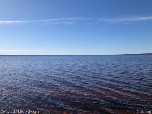 3890 County Road 489 Drive, Onaway, MI 49765 — Photo 19