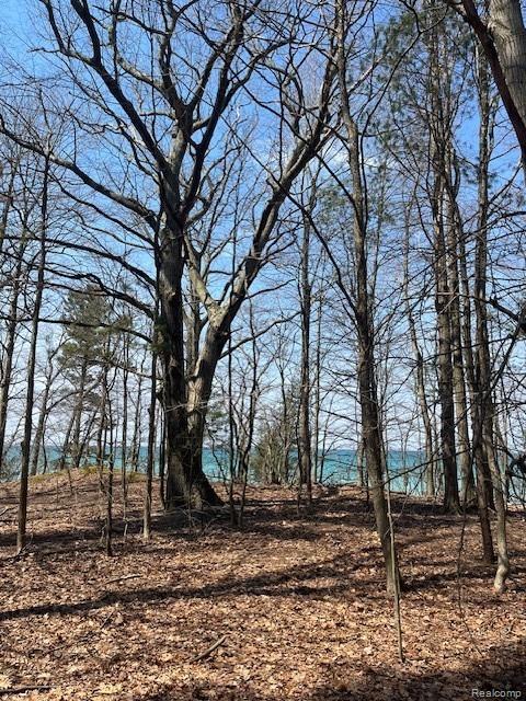 5271 Lake Breeze Drive, Pentwater, MI 49449 — Photo 3
