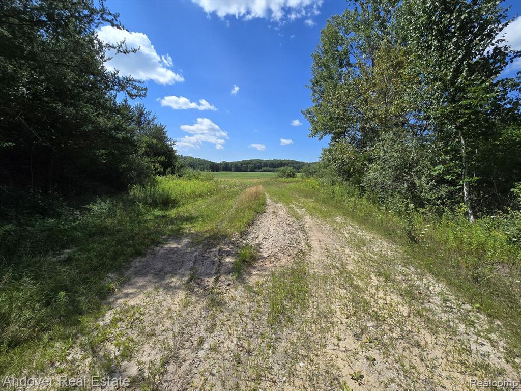 Leckrone Rd Parcel A, Brethren, MI 49619 — Photo 6