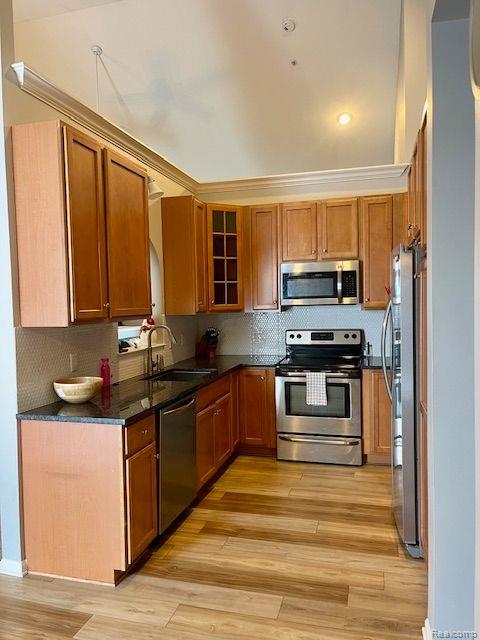 317 PATRIOT Street, Canton, MI 48188 — Photo 6