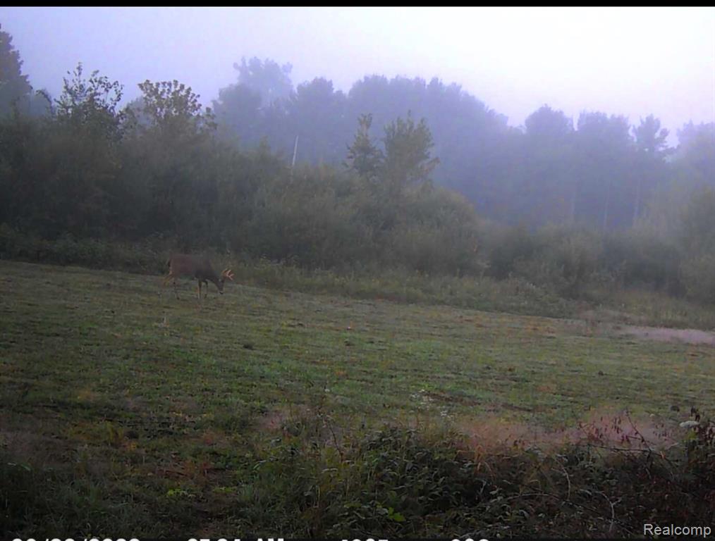 VACANT LAND S. PLAIN Road, Caro, MI 48723 — Photo 13